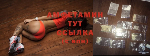 гидра Белокуриха