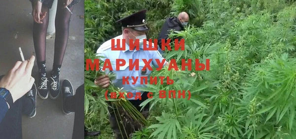 ALPHA PVP Богородицк